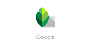 google snapseed desktop