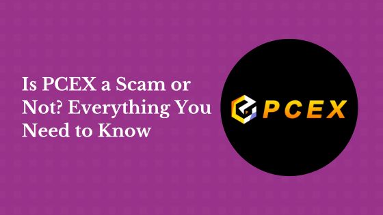 Is PCEX a Scam or Not? Everything You Need to Know